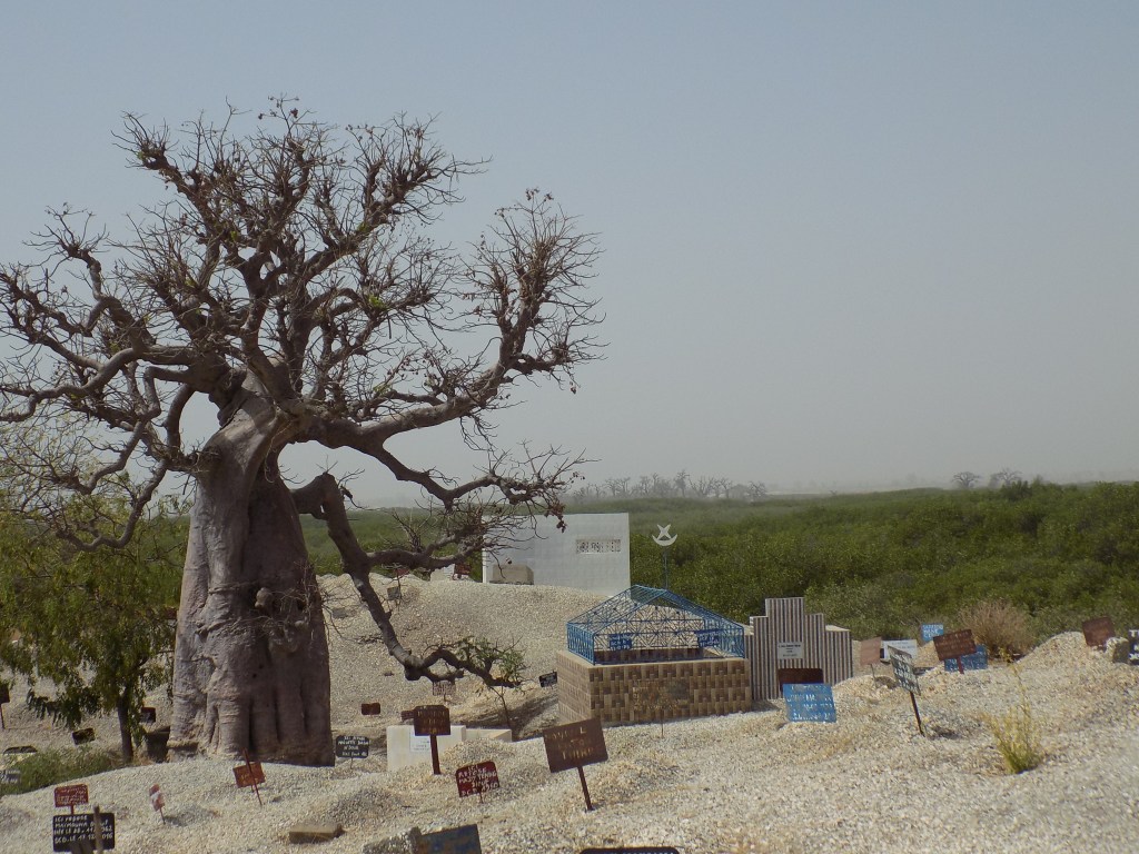 This image has an empty alt attribute; its file name is dscn3720.jpg