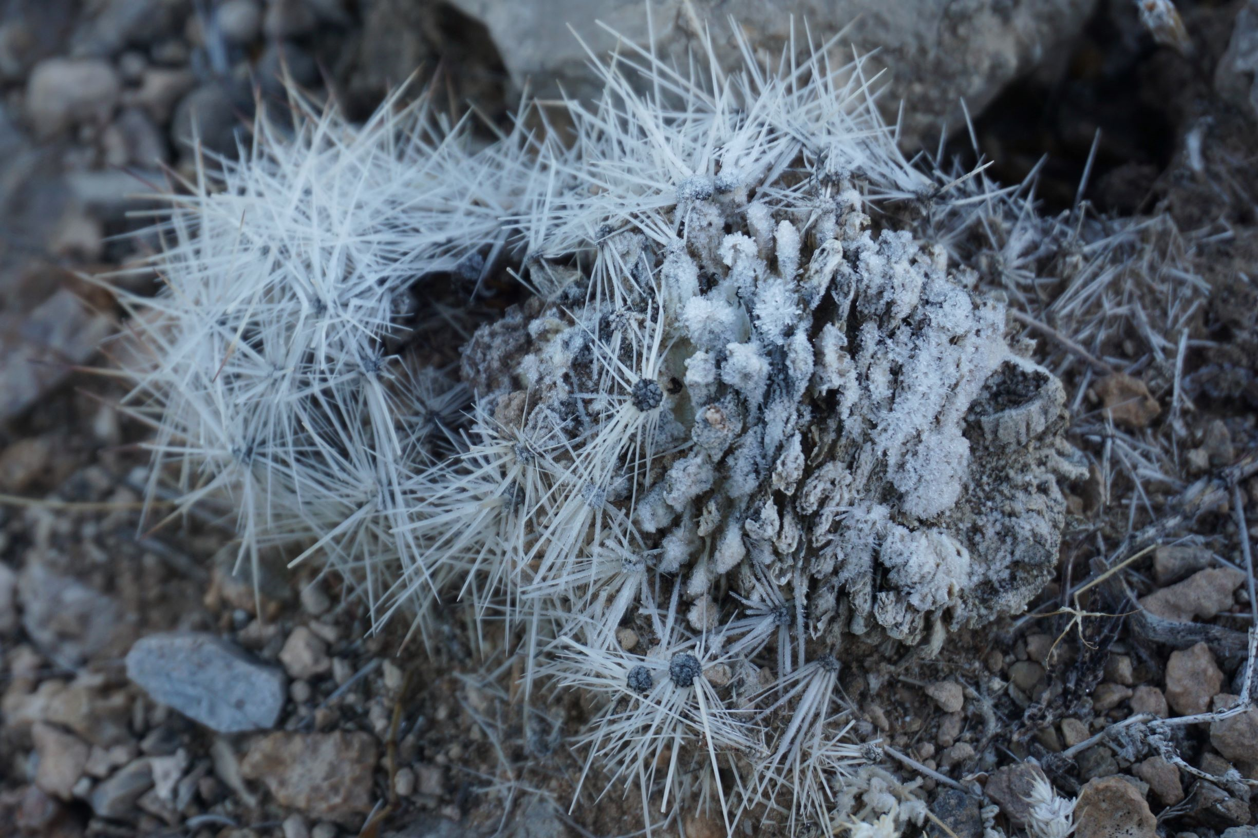 This image has an empty alt attribute; its file name is 4e4b3-16czmerunfcymlyqyh4y9uw.png